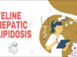 Feline Hepatic Lipidosis