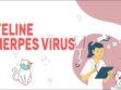 Feline Herpes Virus