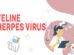 Feline Herpes Virus