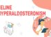 Feline Hyperaldosteronism
