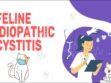 Feline Idiopathic Cystitis