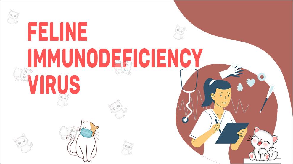 Feline Immunodeficiency Virus