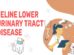 Feline Lower Urinary Tract Disease