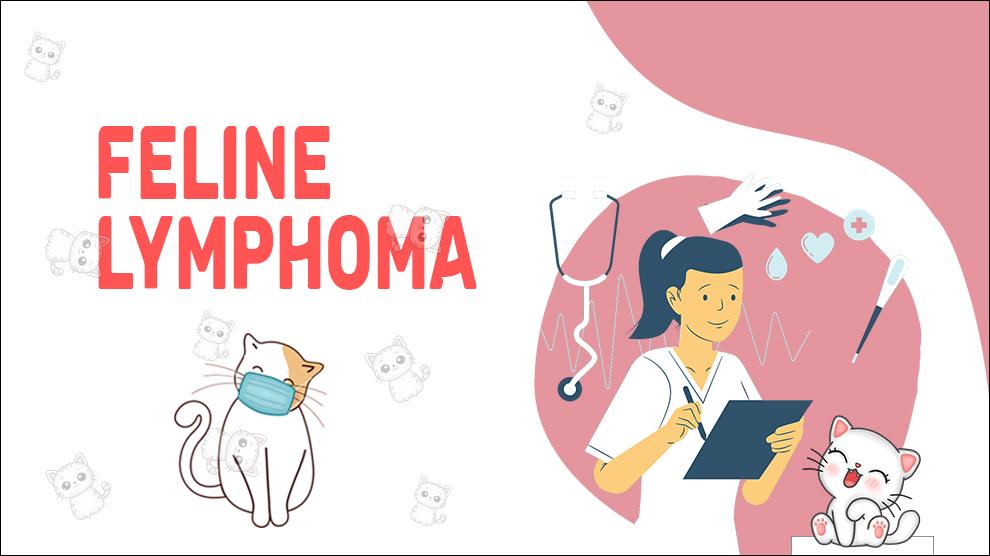 Feline Lymphoma