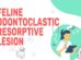 Feline Odontoclastic Resorptive Lesion