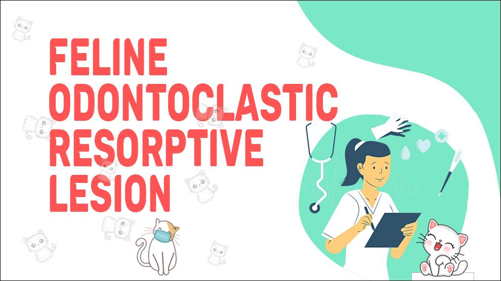 Feline Odontoclastic Resorptive Lesion