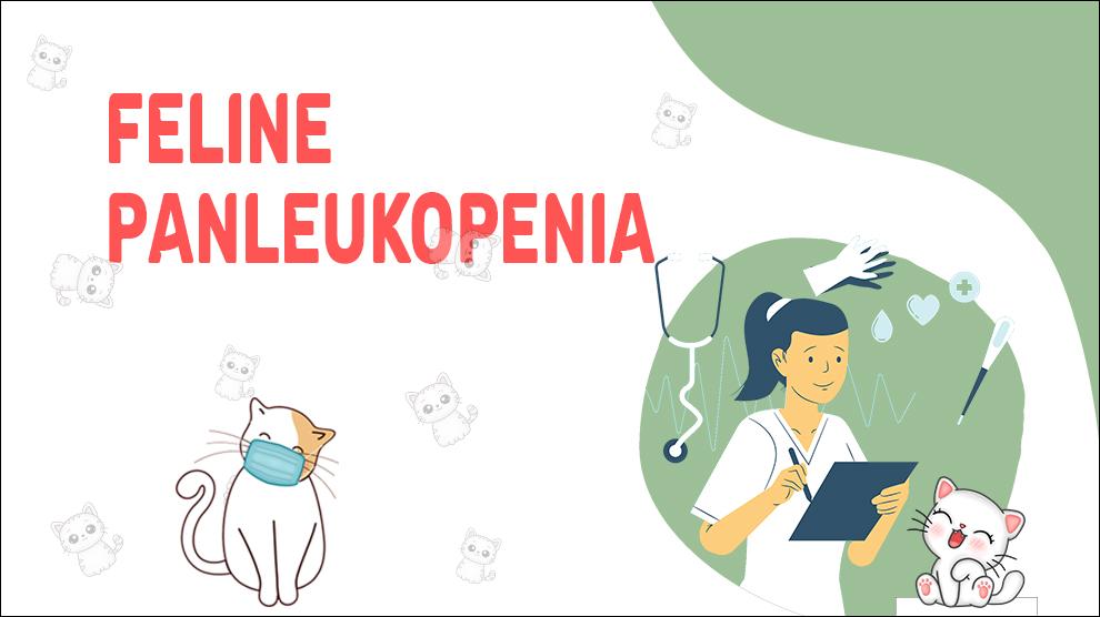 Feline Panleukopenia