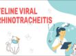 Feline Viral Rhinotracheitis