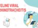 Feline Viral Rhinotracheitis