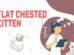 Flat Chested Kitten