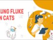 Lung Fluke In Cats