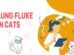 Lung Fluke In Cats