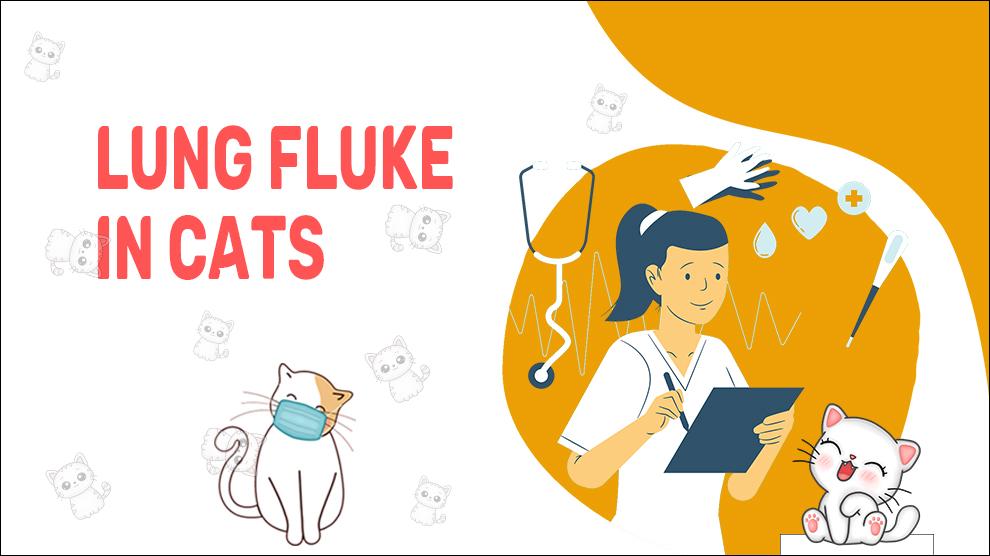Lung Fluke In Cats