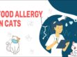 Food Allergy In Cats
