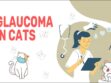 Glaucoma In Cats