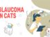 Glaucoma In Cats