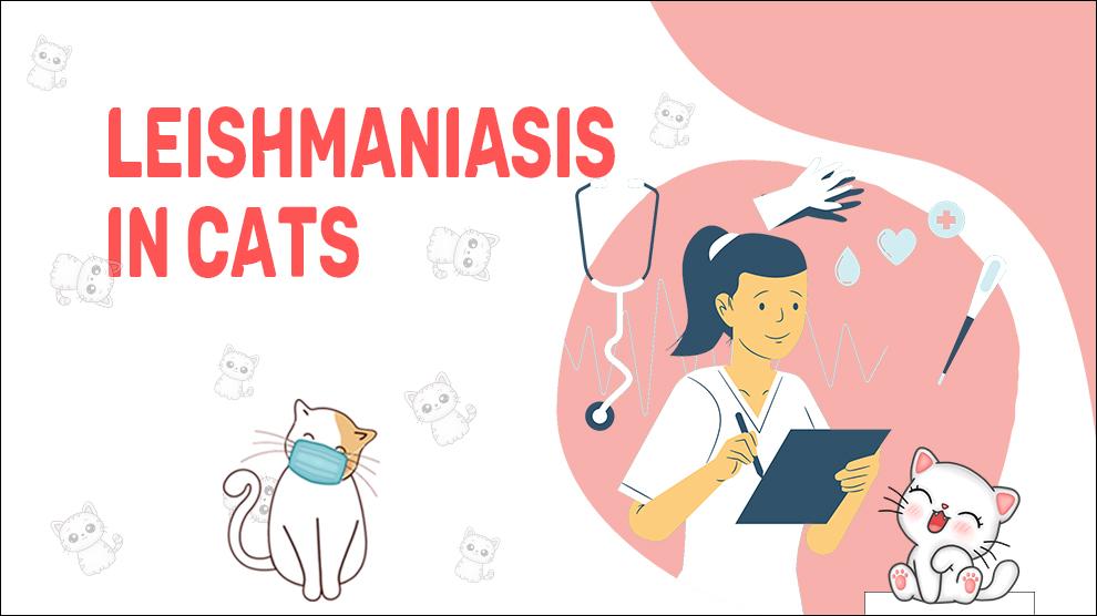 Leishmaniasis In Cats