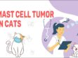 Mast Cell Tumor In Cats