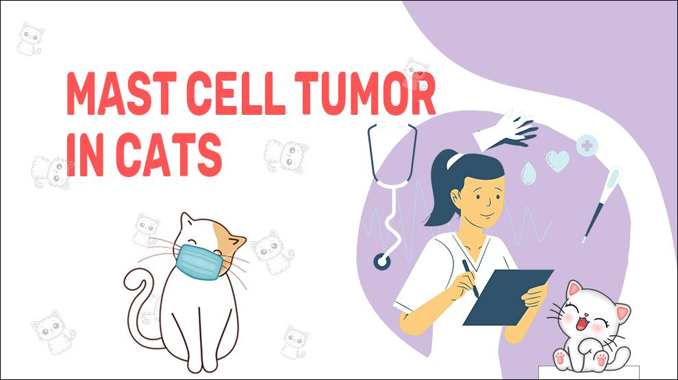 Mast Cell Tumor In Cats