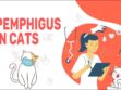 Pemphigus In Cats
