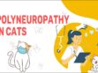 Polyneuropathy In Cats