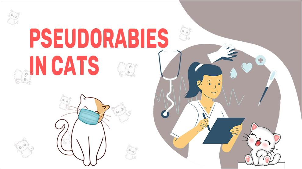 Pseudorabies In Cats