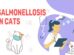 Salmonellosis In Cats