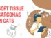 Soft Tissue Sarcomas In Cats