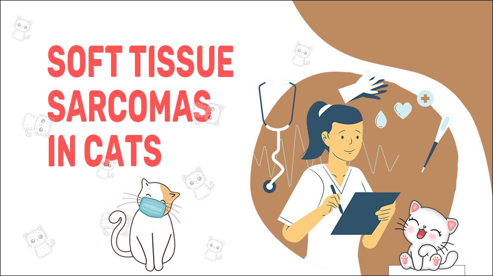 Soft Tissue Sarcomas In Cats