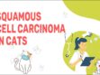 Squamous Cell Carcinoma In Cats