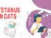 Tetanus In Cats