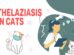 Thelaziasis In Cats