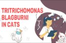 Tritrichomonas Blagburni In Cats