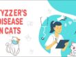 Tyzzer's Disease In Cats