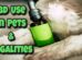 CBD Use in Pets and Its Legalities