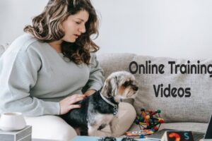 Online Training Videos For Dogs