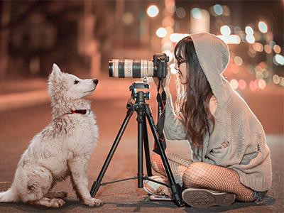 start-a-pet-photography-business