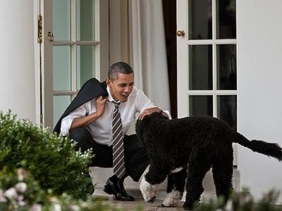 barack obama american presidents and dogs
