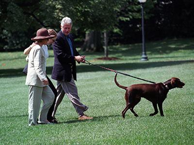 bill-clinton-american-presidents-and-dogs