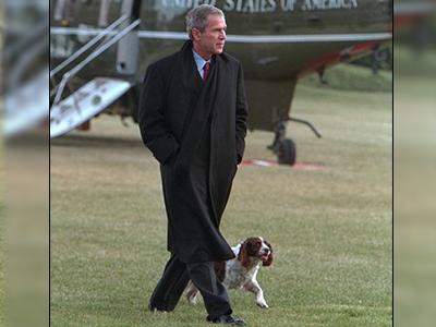 george-w-bush-american-presidents-and-dogs