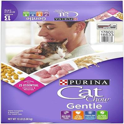 purina-cat-chow-gentle-dry-cat-food