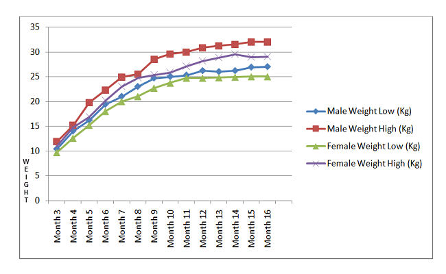 boxer-puppy-weight-charts