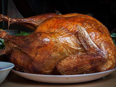 how-to-feed-turkey-safely