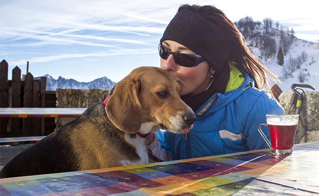 is-it-okay-to-kiss-your-dog