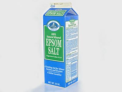 try-epsom-salt-soaks-dog-allergies