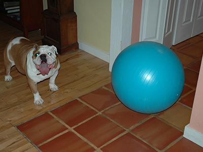 exercise-ball