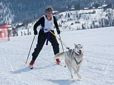 skijoring