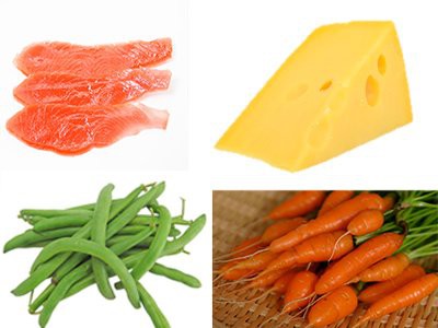 can-dogs-eat-besides-dog-food