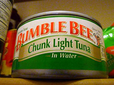 dogs-eat-canned-tuna