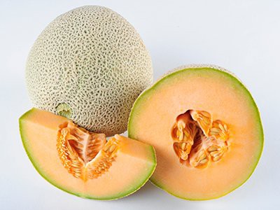 can dogs eat cantaloupe skin